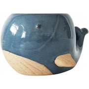 'Wilson' the Whale Planter